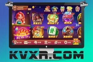 555bet.com slots 