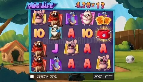 a247 bet 