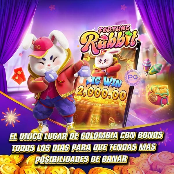 alavancar seguidores 