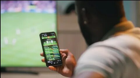cassino jogo da abelha 