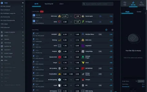 estratégias fortune ox 2024 