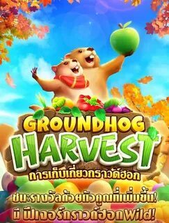 fortune rabbit online 