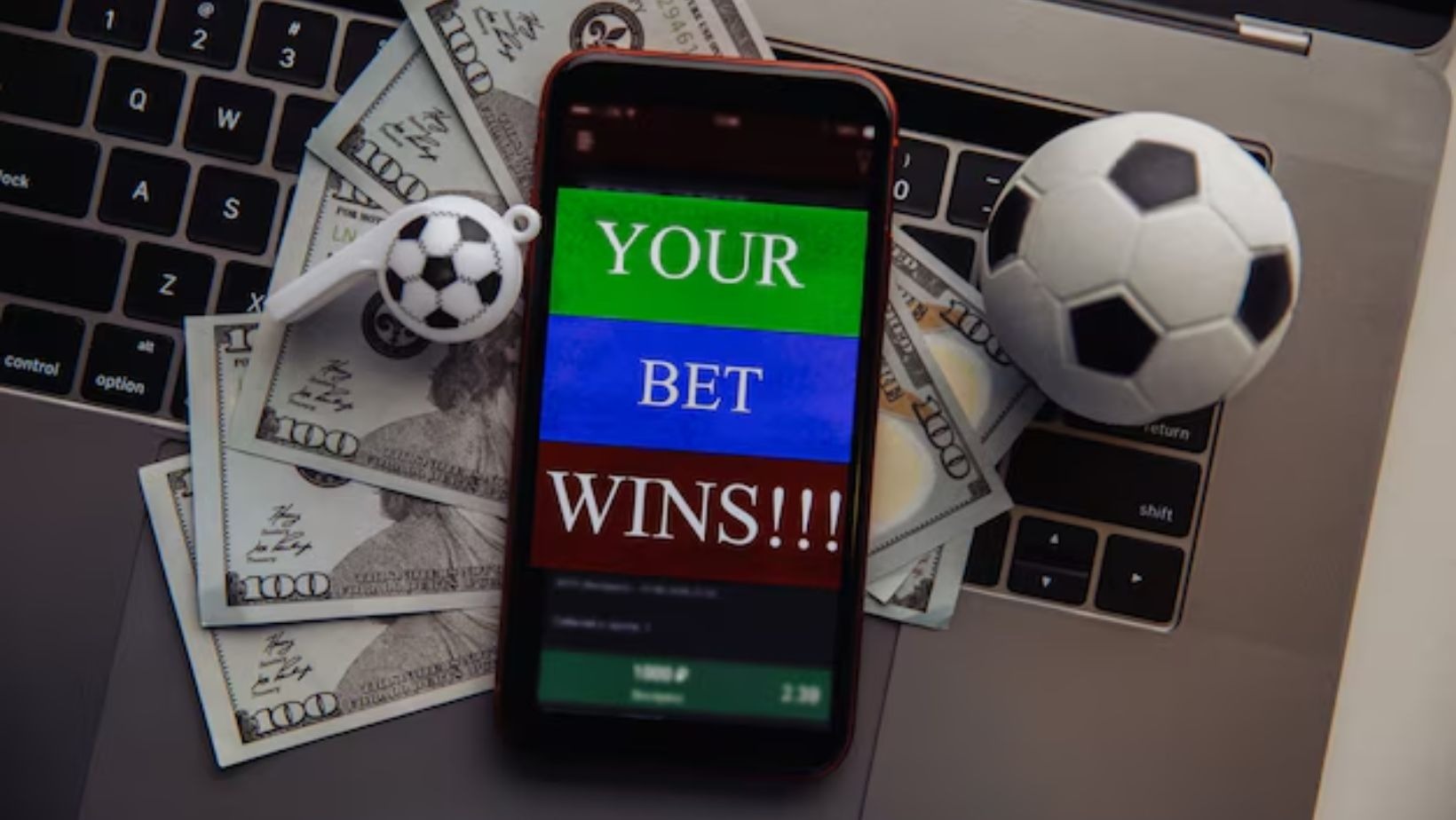 futebol bingo estrela bet 