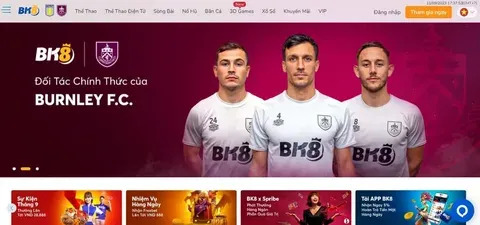 reportagem apostas online 