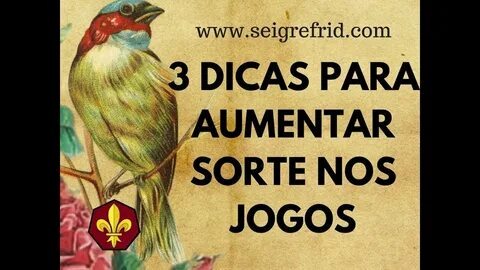 site de estatísticas de futebol para apostas grátis 
